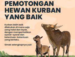 Lokasi Pemotongan Hewan Kurban yang Baik