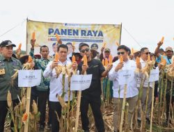 Wagub Jihan Nurlela dan Wamendes PDT RI Panen Raya Jagung di Pesawaran, Dorong Inovasi Teknologi Pertanian untuk Kemandirian Pangan