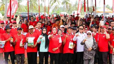GNTI Panen Raya Jagung di Pesawaran, Serahkan Bantuan untuk Petani