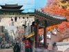 Pertama Kali Ke Korea Selatan? Ini 5 Tips Memilih Tour yang Nyaman dan Anti-Ribet
