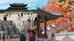 Pertama Kali Ke Korea Selatan? Ini 5 Tips Memilih Tour yang Nyaman dan Anti-Ribet