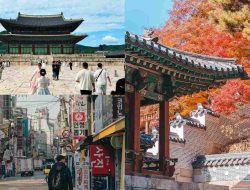 Pertama Kali Ke Korea Selatan? Ini 5 Tips Memilih Tour yang Nyaman dan Anti-Ribet